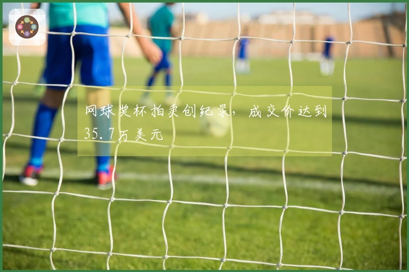 网球奖杯拍卖创纪录，成交价达到35.7万美元